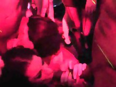 Frisky girls get fully silly and naked at hardcore party